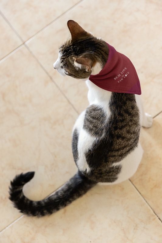Real Love Is Paw Love – Valentine’s Pet Bandana