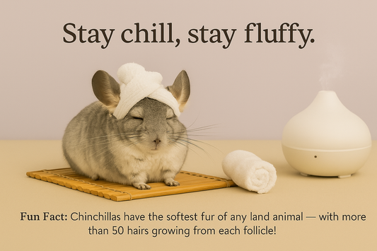 Fluffure 2026 Cozy Pet Calendar