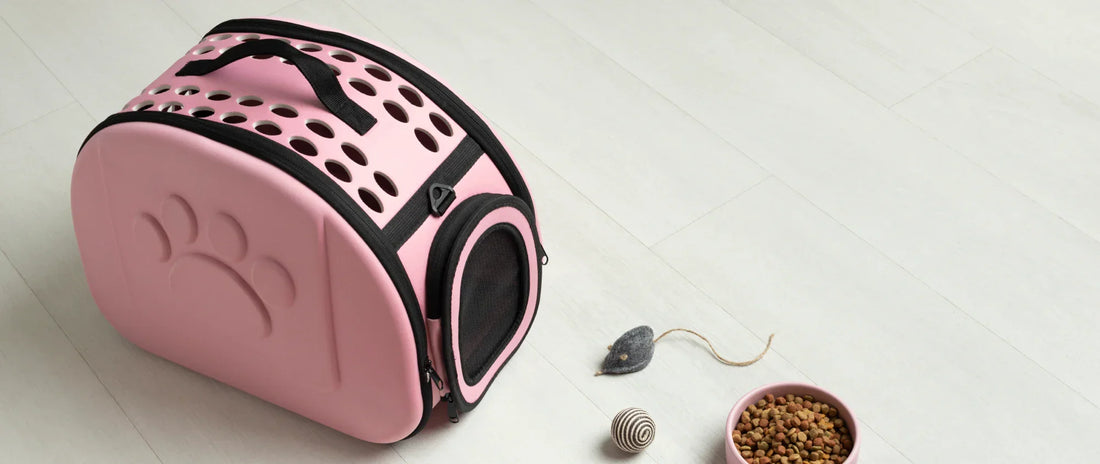 Top 10 Must-Have Pet Gadgets and Accessories in 2025
