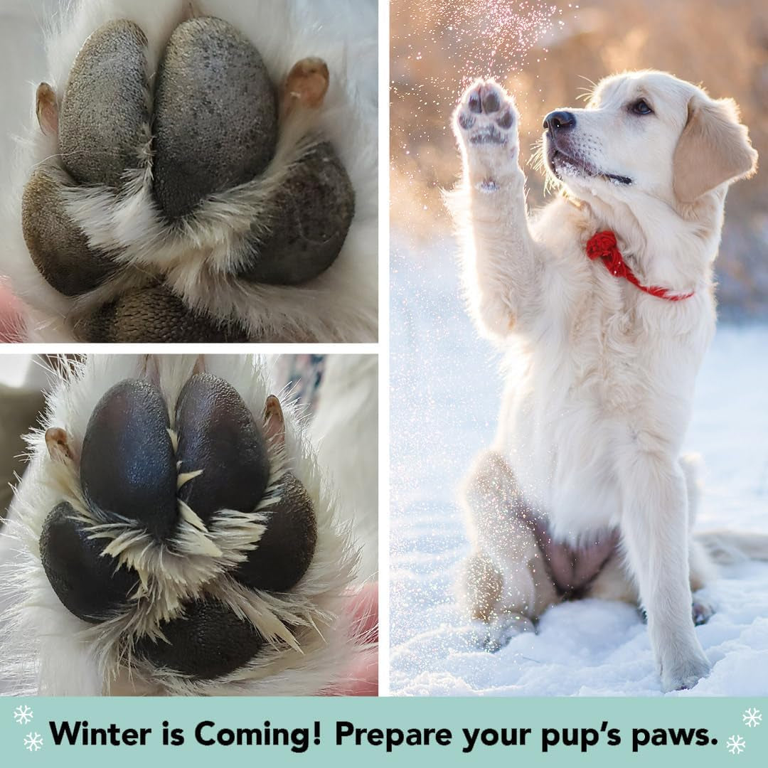 Pawtection Balm 1 Oz Tin – Dog Paw Protection with Shea Butter & Calendula – Shields Paws from Snow, Ice, Salt, Hot Pavement & Rough Terrain – Lick-Safe, All Breeds