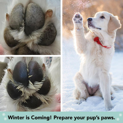 Pawtection Balm 1 Oz Tin – Dog Paw Protection with Shea Butter & Calendula – Shields Paws from Snow, Ice, Salt, Hot Pavement & Rough Terrain – Lick-Safe, All Breeds