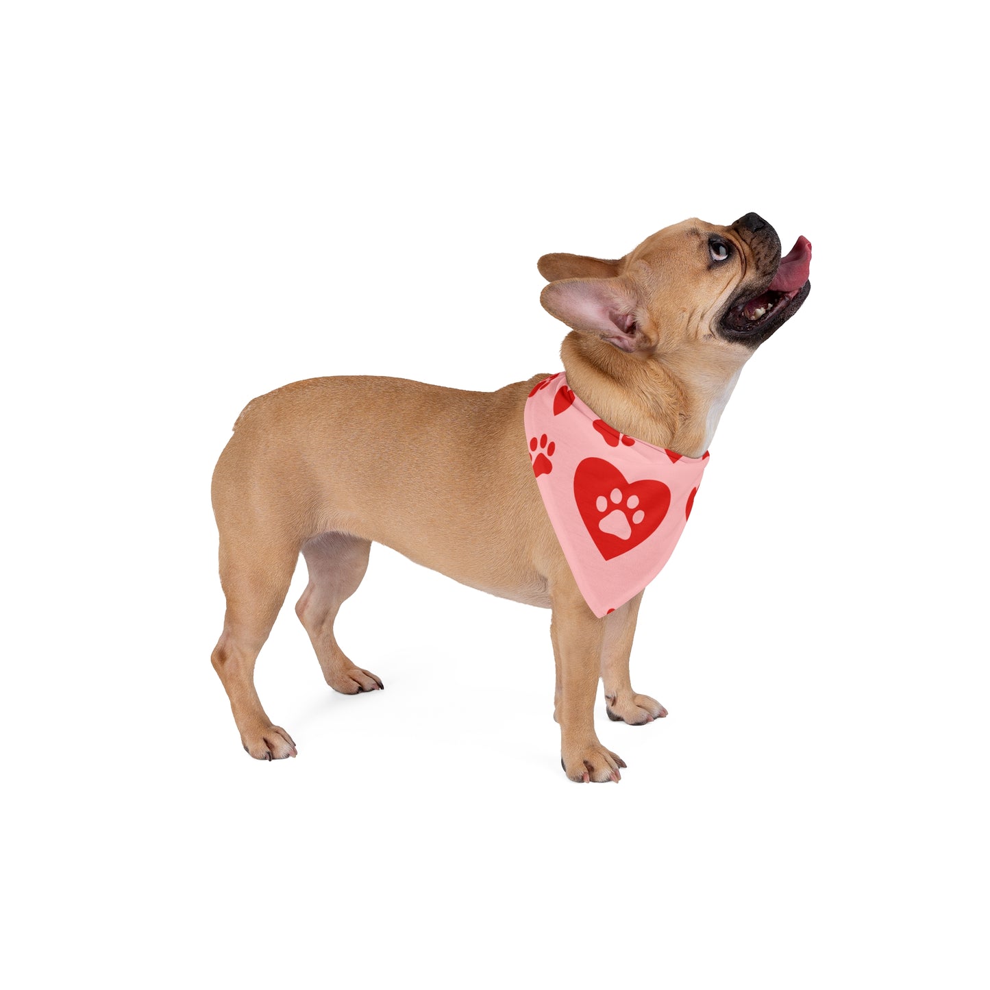 Valentine Paw Print Pet Bandana — Pink Hearts & Paws Dog Scarf (bring back later)