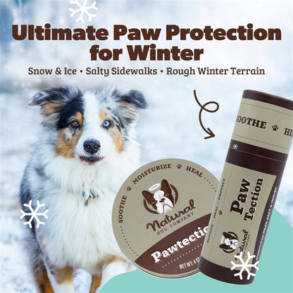 Pawtection Balm 1 Oz Tin – Dog Paw Protection with Shea Butter & Calendula – Shields Paws from Snow, Ice, Salt, Hot Pavement & Rough Terrain – Lick-Safe, All Breeds