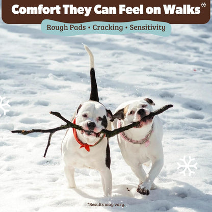 Pawtection Balm 1 Oz Tin – Dog Paw Protection with Shea Butter & Calendula – Shields Paws from Snow, Ice, Salt, Hot Pavement & Rough Terrain – Lick-Safe, All Breeds