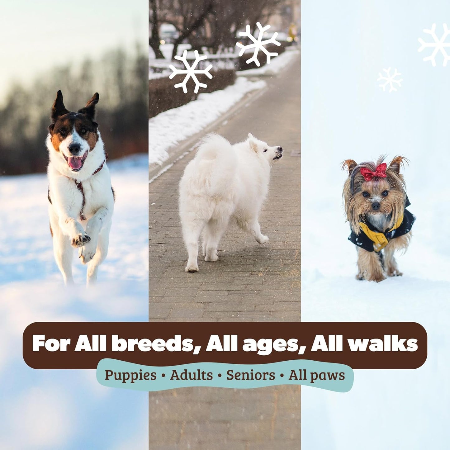 Pawtection Balm 1 Oz Tin – Dog Paw Protection with Shea Butter & Calendula – Shields Paws from Snow, Ice, Salt, Hot Pavement & Rough Terrain – Lick-Safe, All Breeds