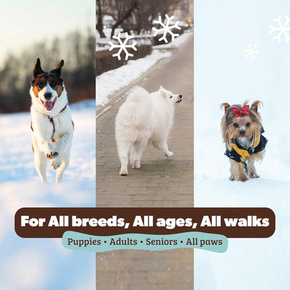 Pawtection Balm 1 Oz Tin – Dog Paw Protection with Shea Butter & Calendula – Shields Paws from Snow, Ice, Salt, Hot Pavement & Rough Terrain – Lick-Safe, All Breeds