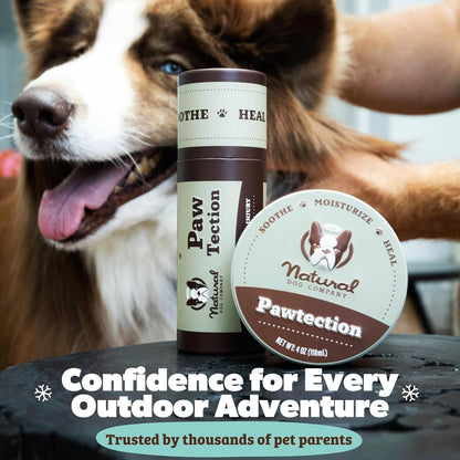 Pawtection Balm 1 Oz Tin – Dog Paw Protection with Shea Butter & Calendula – Shields Paws from Snow, Ice, Salt, Hot Pavement & Rough Terrain – Lick-Safe, All Breeds