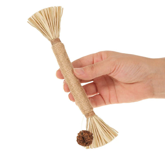 Natural Matatabi Pet Cat Snacks Sticks Cleaning Tooth Catnip Cat Toys Actinidia Silvervine Pet Toy for Cats Pet Accessories